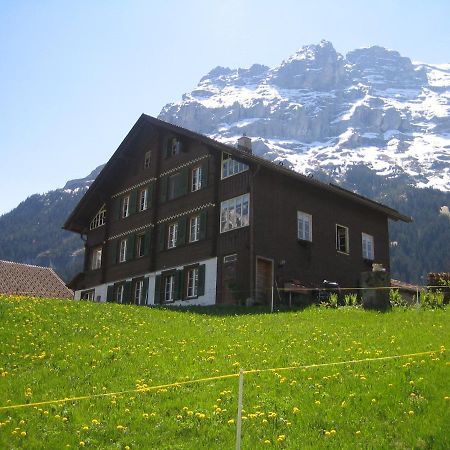 Chalet Baergblick Grindelwald Extérieur photo