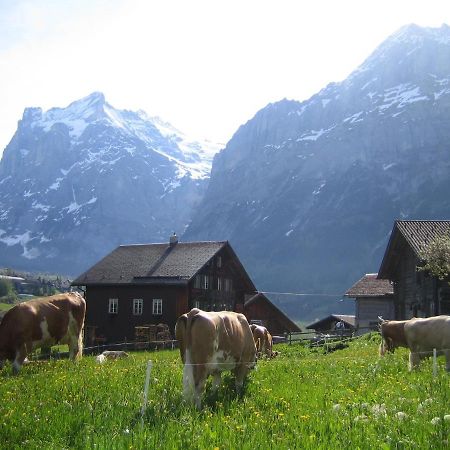 Chalet Baergblick Grindelwald Extérieur photo