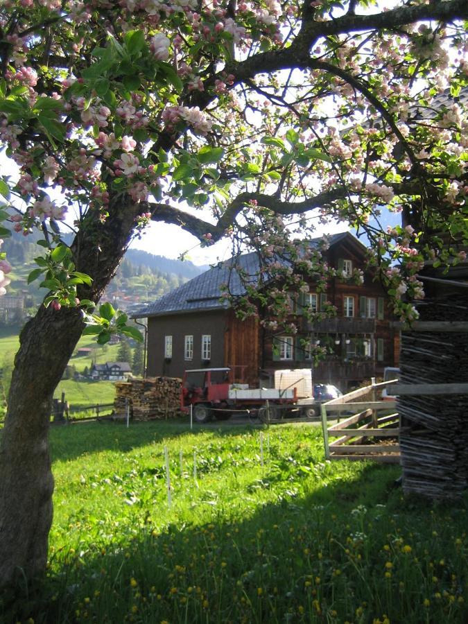 Chalet Baergblick Grindelwald Extérieur photo