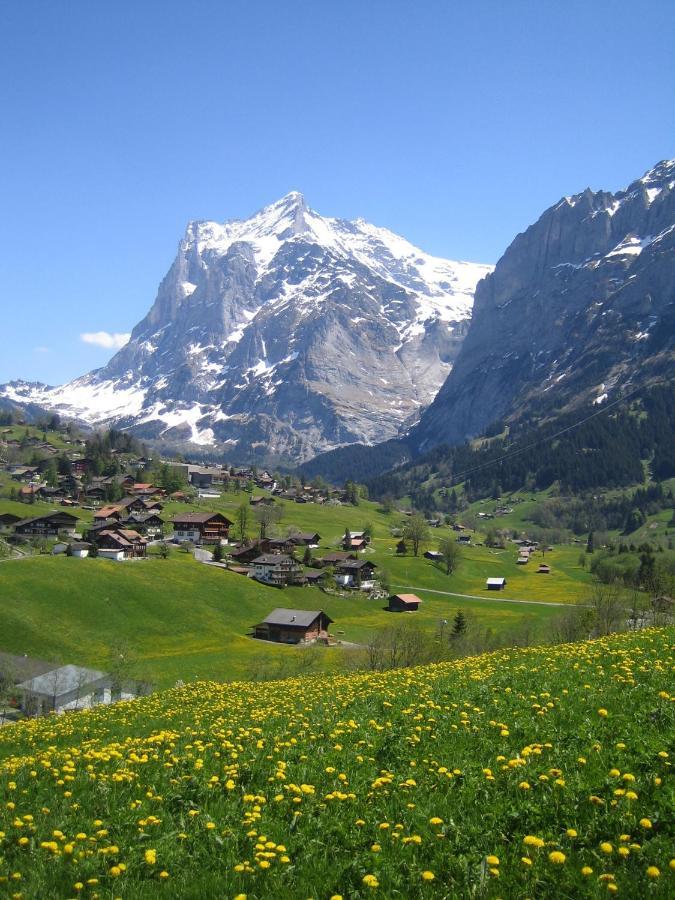 Chalet Baergblick Grindelwald Extérieur photo