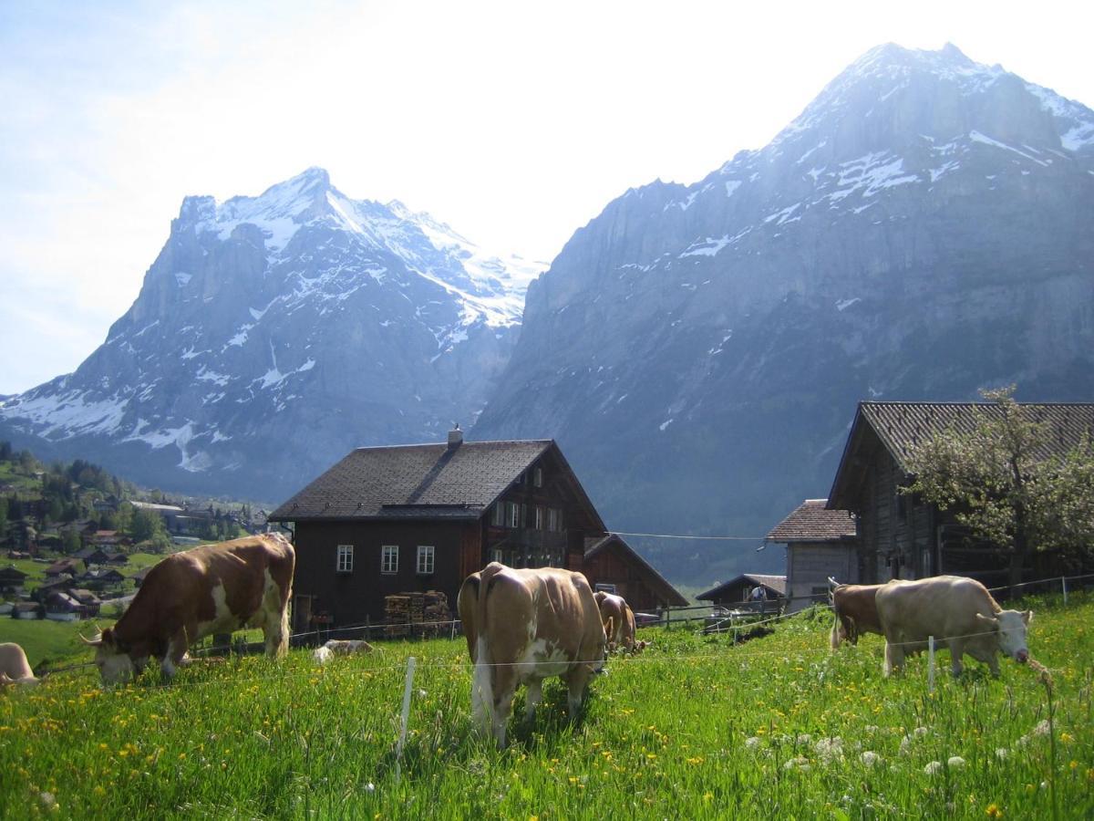 Chalet Baergblick Grindelwald Extérieur photo