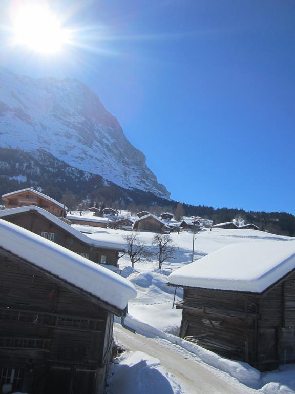 Chalet Baergblick Grindelwald Extérieur photo