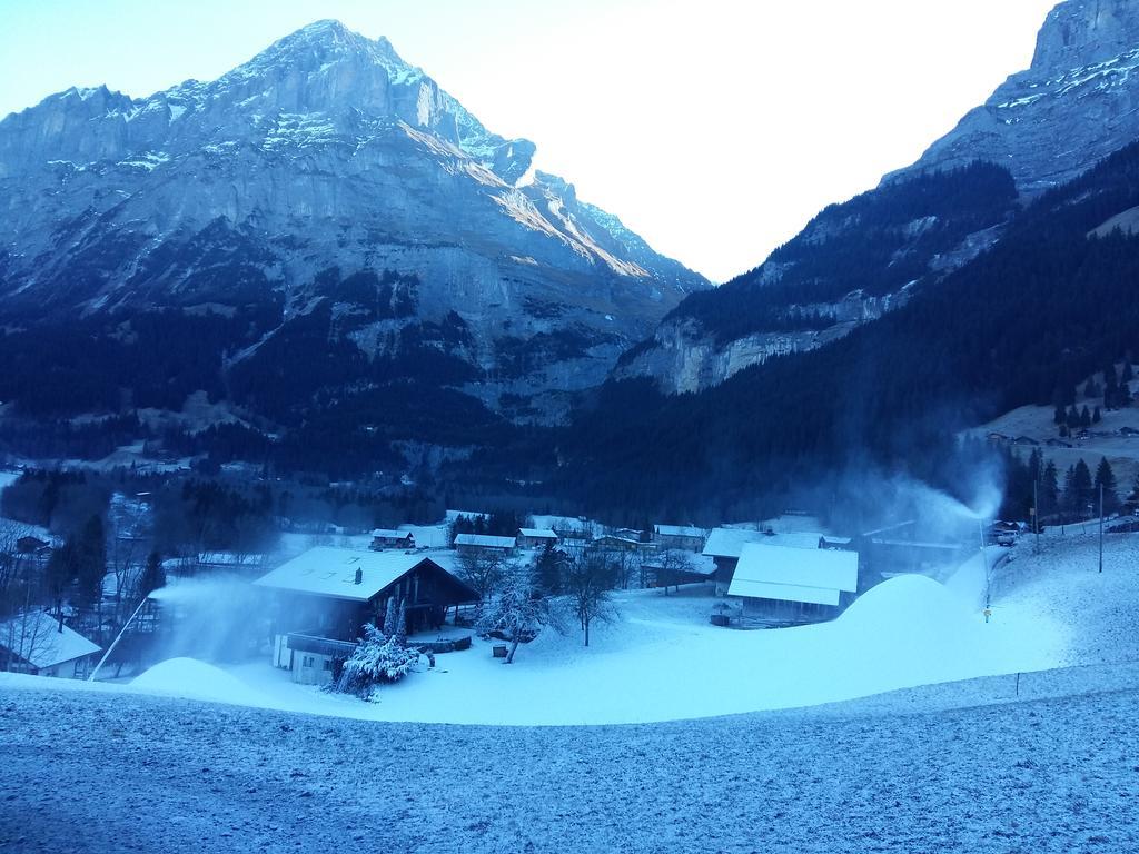 Chalet Baergblick Grindelwald Extérieur photo