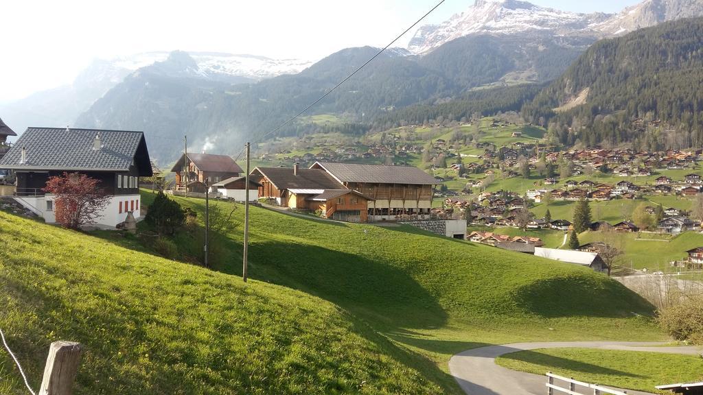 Chalet Baergblick Grindelwald Extérieur photo