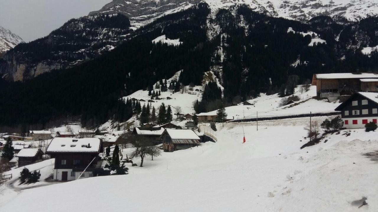 Chalet Baergblick Grindelwald Extérieur photo